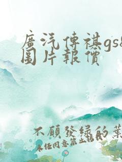 广汽传祺gs8图片报价