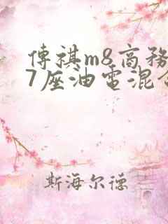 传祺m8商务车7座油电混合