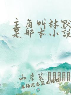 主角叫林默的人是哪本小说