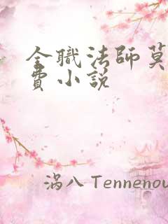 全职法师莫凡免费小说