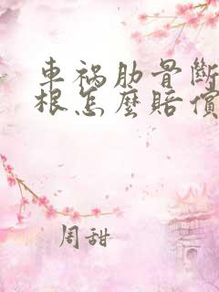 车祸肋骨断了4根怎么赔偿