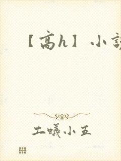 【高h】小说