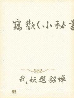 窃欢(小秘书)