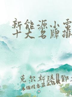 新能源小电动车十大名牌排名及价格