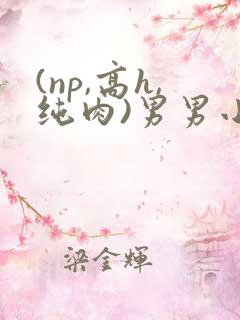 (np,高h,纯肉)男男小说