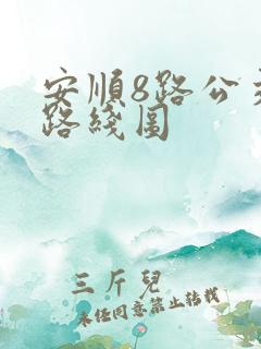 安顺8路公交车路线图
