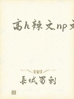 高h辣文np文