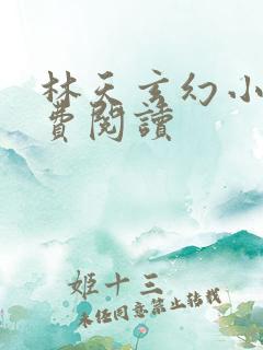 林天玄幻小说免费阅读
