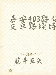 泰安403路公交车路线时间表查询