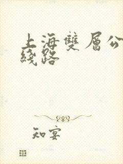 上海双层公交车线路