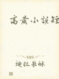 高黄小说短篇