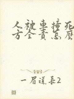 人被车撞死了对方全责怎么赔偿