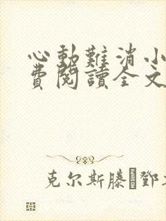 心动难消小说免费阅读全文无弹窗