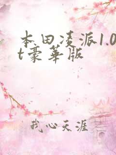 本田凌派1.0t豪华版 本田凌派1.0t豪华版