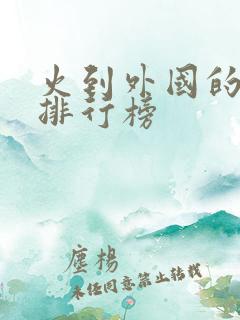火到外国的小说排行榜