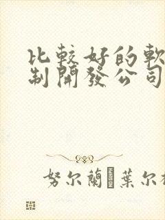 比较好的软件定制开发公司