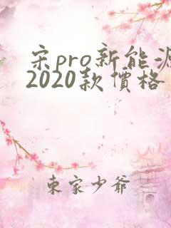 宋pro新能源2020款价格