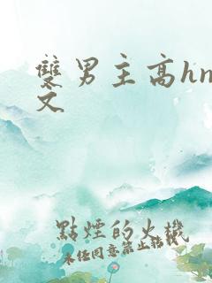 双男主高hnp文