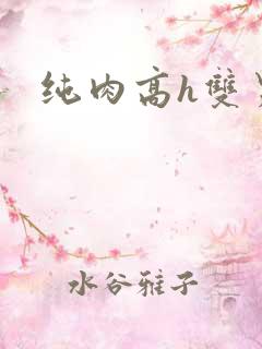 纯肉高h双男主