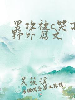 男攻被c哭高h野外腐文