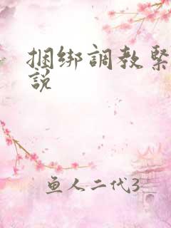 捆绑调教紧缚小说