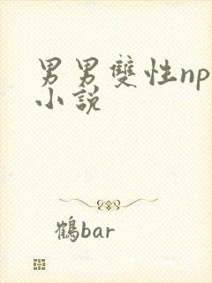 男男双性nph小说 男男双性nph小说