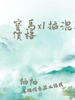 宝马x1插混版价格