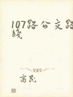 107路公交路线