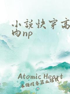 小说快穿高h纯肉np 小说快穿高h纯肉np