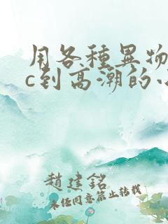 用各种异物把她c到高潮的小说小说