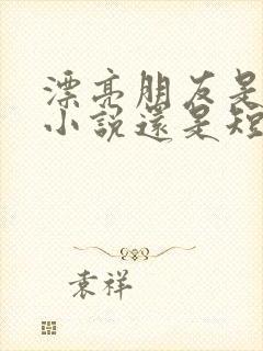 漂亮朋友是长篇小说还是短篇小说