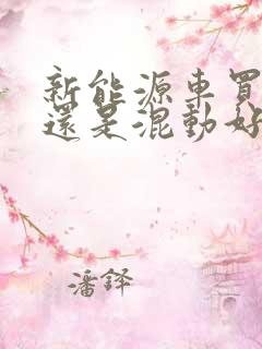 新能源车买纯电还是混动好