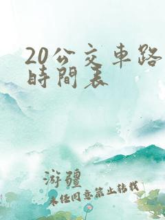 20公交车路线时间表