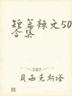 短篇辣文500合集