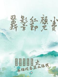 医影红颜小说最新章节免费阅读