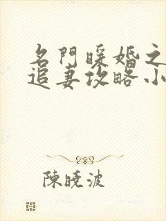 名门暖婚之权爷追妻攻略小说 名门暖婚之权爷追妻攻略小说