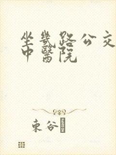 坐几路公交车到中医院