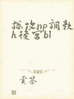 总攻np调教高h后宫bl