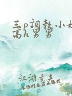 三p调教小嫩苞高h男男