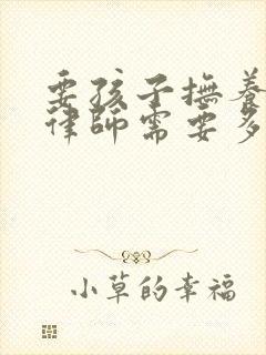 要孩子抚养权请律师需要多少钱
