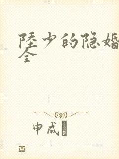 陆少的隐婚罪妻全 陆少的隐婚罪妻全
