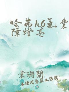 哈弗h6气囊故障灯亮