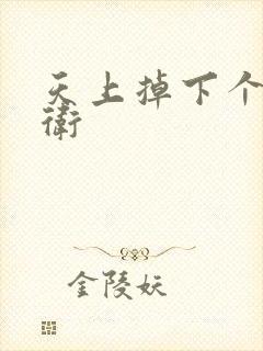 天上掉下个影卫卫