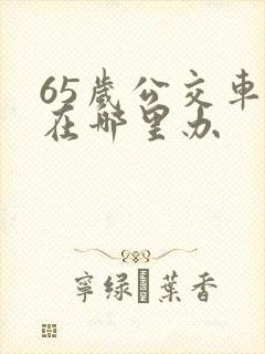 65岁公交车卡在哪里办