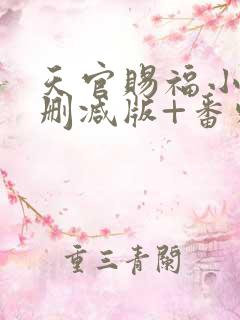 天官赐福小说无删减版+番外