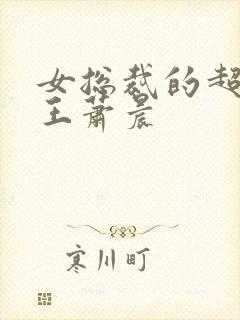 女总裁的超级兵王萧晨