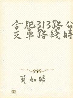 合肥313路公交车路线时间表