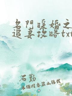 名门暖婚之权爷追妻攻略txt小说下载