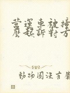 营运车被撞了怎么起诉对方