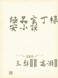 极品家丁绿帽版安小说
